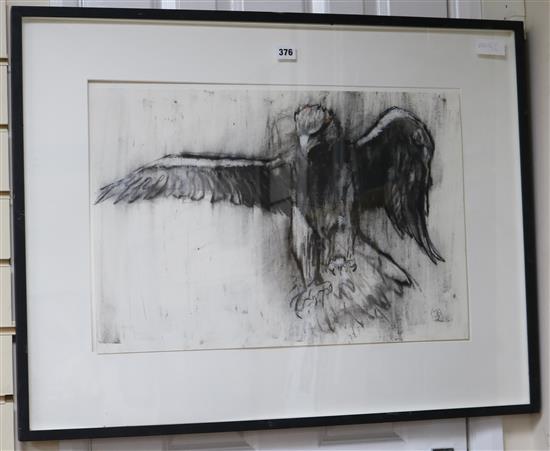 Mark Adlington, charcoal and chalk on paper, Study of an eagle, initialled and dated 02, 40 x 59cm